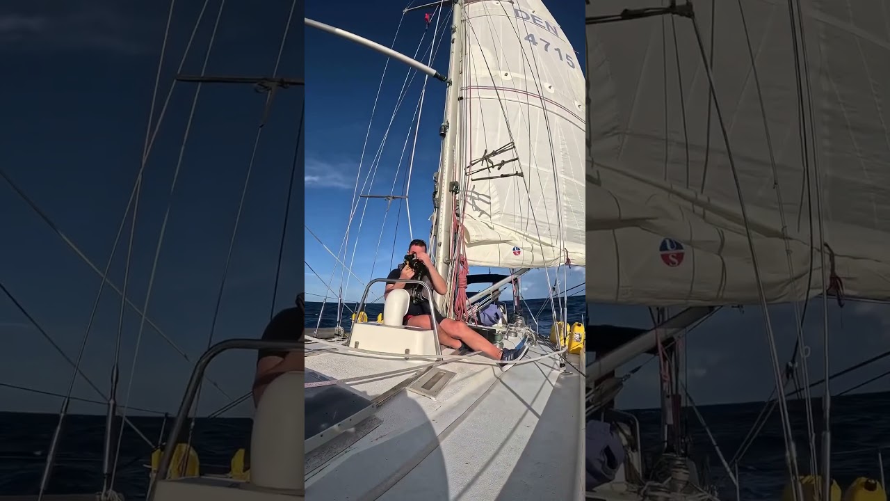 ⁣Something in the way she moves #sailing #offshoresailing #bluewatersailing