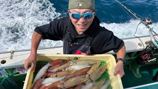 ヤリイカ Live石花海10/13伊豆とび島丸