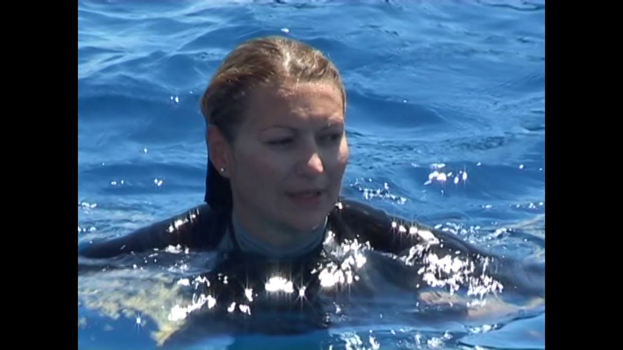 RED SEA   m/y "GELEN" - DIVE CLUB POSEIDON ODESSA  2008