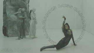 Azealia Banks Miss Camaraderie Original Mix Music Video