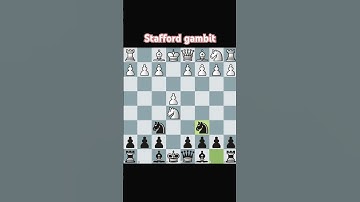Stafford gambit...trap no. 7#chess #chesscom #chessgame #chessmaster #chesstactics #beginnerchess