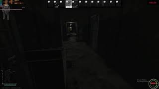 Decimate Live Stream