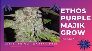 Ethos Purple Majik Grow #18
