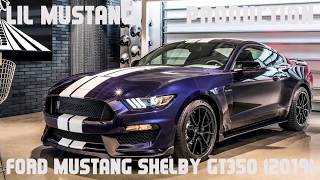 Ford Mustang Shelby GT350 (2019) Bite Star - Power Is Back (No Copyright Music)