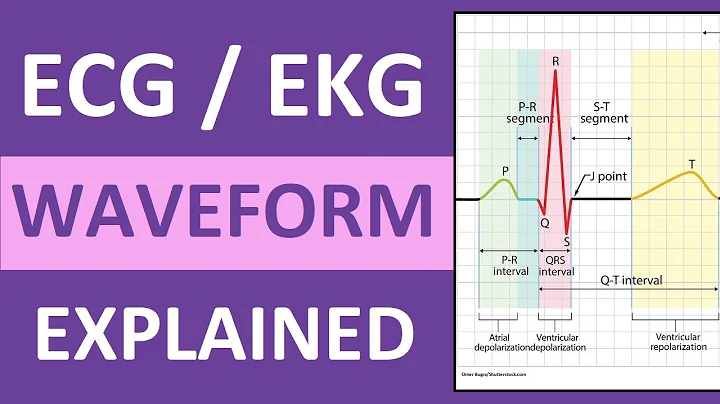 ECG Waveform Explained and Labeled | ECG Interpretation Nursing NCLEX