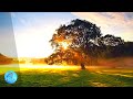Inspirational Cinematic Background Music For Videos Educational Background Music