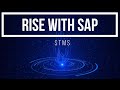Découvrez Rise with SAP : Votre partenaire pour la transformation numérique