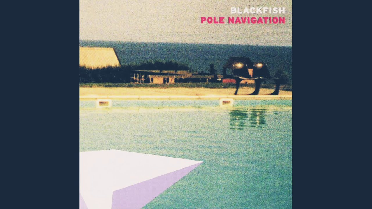 Guarda Blackfish – Sonar su YouTube Guarda Blackfish – Sonar su YouTube