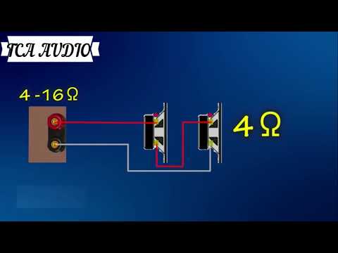 Video Cách đấu nối nhiều loa vào 1 amply không bị cháy (... - youtube