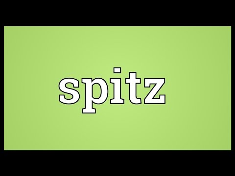 Video: Bir Spitz Neye Benziyor