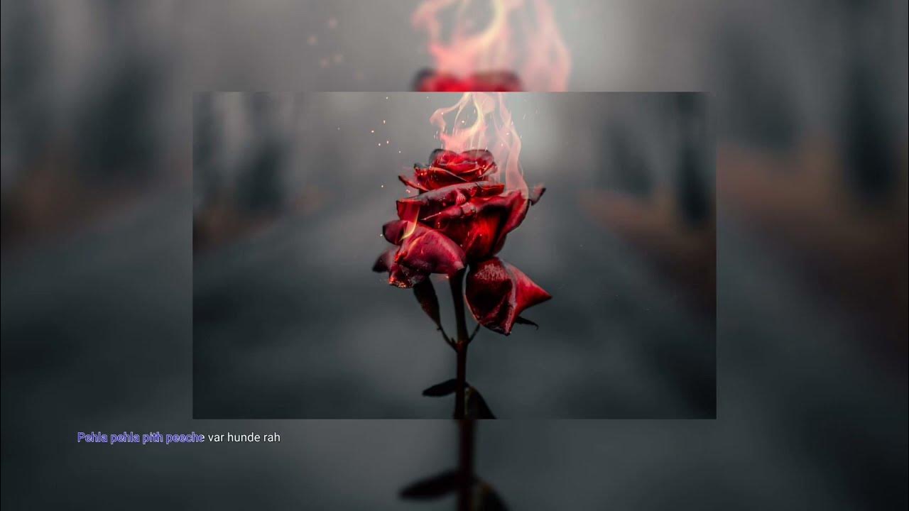 Горящие бумаги эстетика. Не выгорающие розы. Стефани блейк огненные цветы. Огненный цветок. Не выгорающие розы.