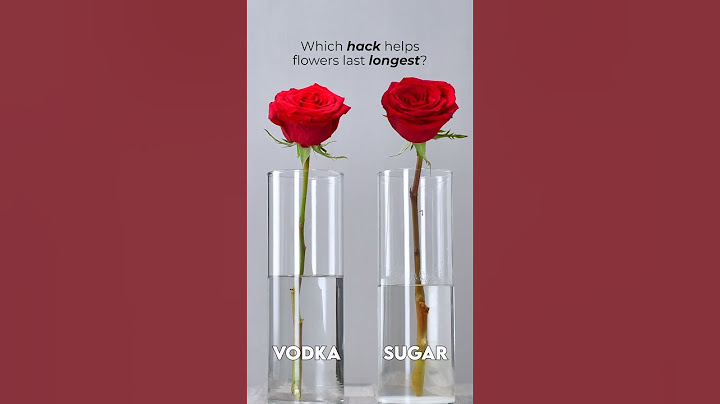 Make your flowers last longer #shorts