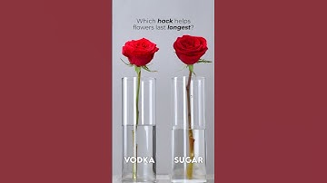 Thumbnail of Make your flowers last longer #shorts