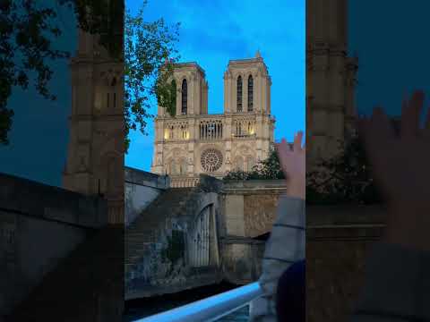 Notre Dame Cathedral #paris2024 #parisvibes #travel #vlog #youtubeshorts #art #cathedrals #vlogger