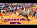 Pavali bull festival in 2024 grand festival part1 shivaeyekiller jalikattu