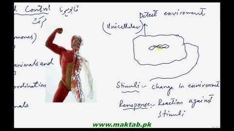 FSc Biology Book2, CH 17, LEC 1  Introduction and Coordination in plants   Maktab pk