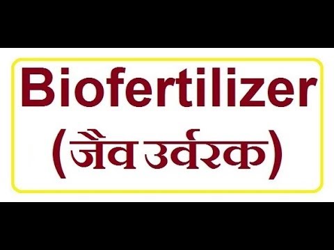 bio fertilizer in hindi essay