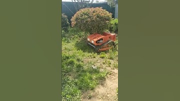 Vigorun cordless crawler weeding machine for sale#mower #farming