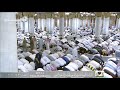 صلاة التروايح المدينة 10 9 1439