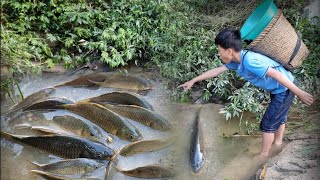 Found a pool full of stranded fish after the flood. Orphan Nam's joy when he catches fish to sell