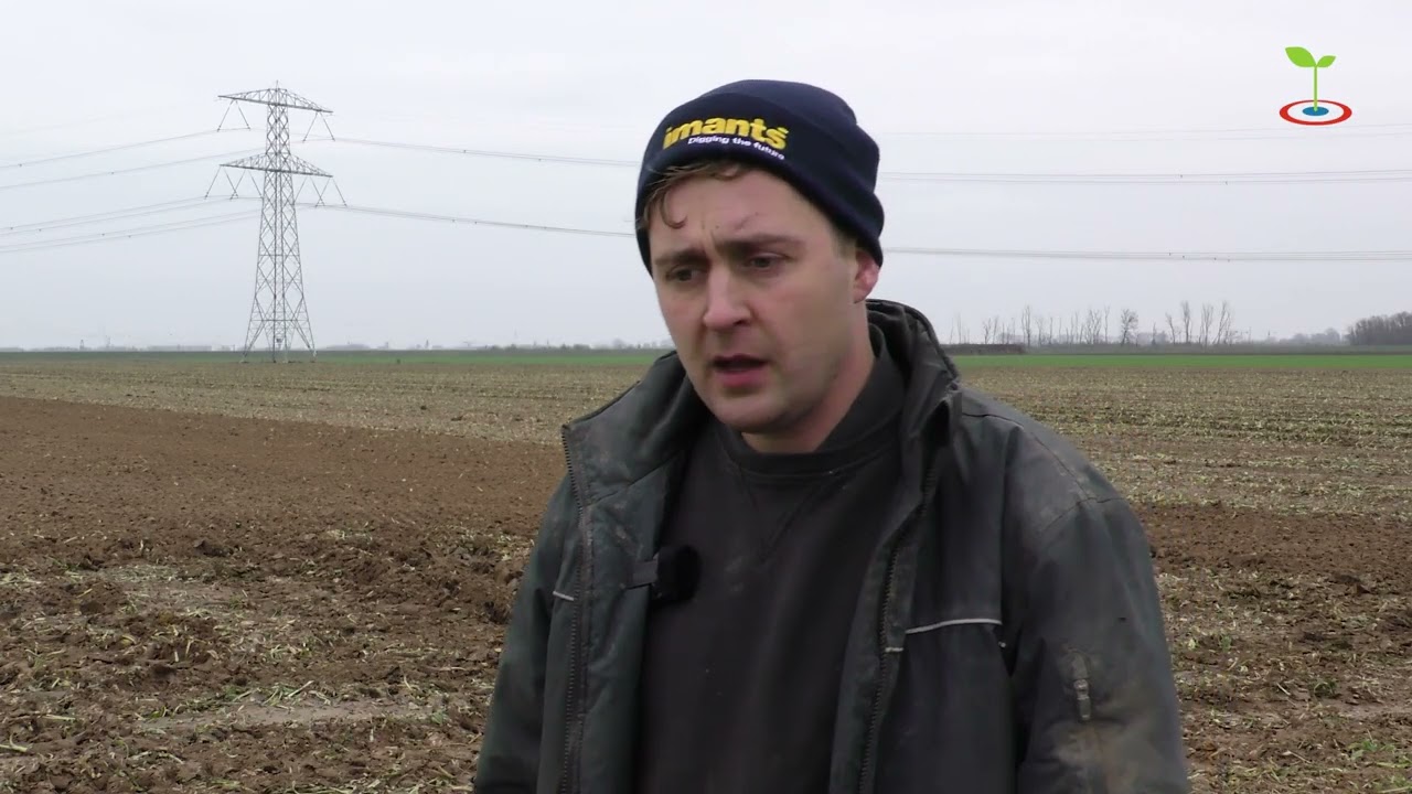 Krukasspitten Vermue Werkendam