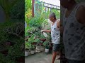 I need to water my plants