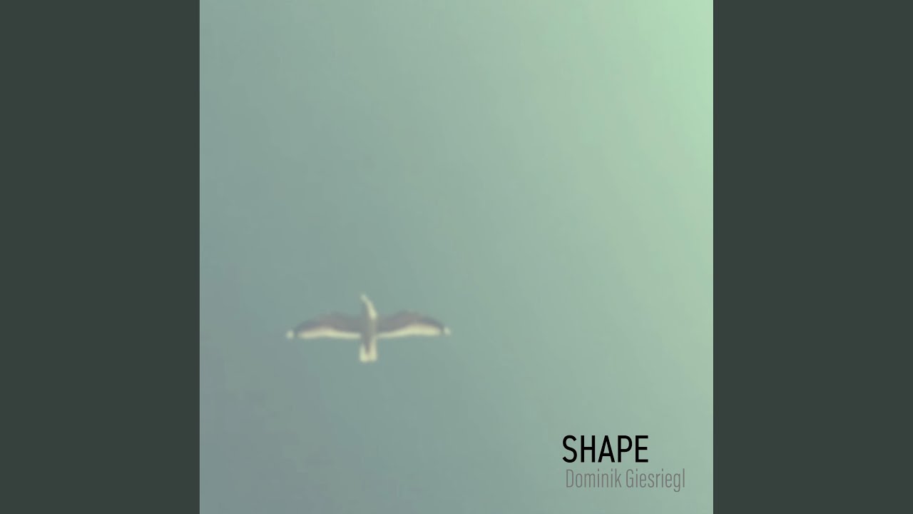 Watch Shape on YouTube Watch Shape on YouTube