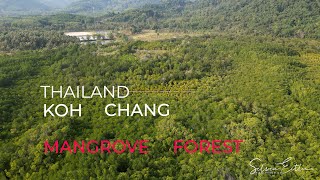 Koh Chang - Thailand - Salak Phet Mangrove Forest - Mangrovenwald by Silvia Eitler 89 views 2 months ago 3 minutes, 18 seconds
