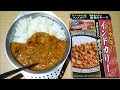 新宿中村屋 インドカリー旨味きわだつ海老のキーマ【新宿中村屋、レトルト、カレー、UNIFLAME、キャンププレート、手抜き、料理】