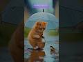 #helpfulcat #SVS FunPlanet #shortvideo