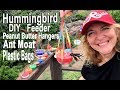 500+ Per Day-Hummingbird Peanut Butter Feeder DIY Hanger & Ant Moat-Jars Bags Nectar Homemade Recipe