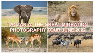 THE GREAT MIGRATION PHOTOGRAPHY TOUR: Join us in Tanzania, June 2022