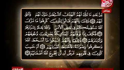 الشيخ حسن مرعب سورة محمد من الآية 24 إلى الآية 28