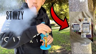 STIIIZY Got Me Faded ASF AT The Park🍃(ALMOST PASS OUTT😳‼️)