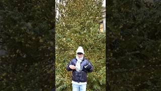 나 혼자 미리 크리스마스 ☃️🎄#OMEGA_X #오메가엑스#HYUK #iykyk #KEEP_GOIN #shorts