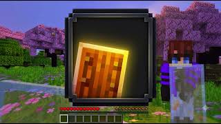 Transparent Shield Texture Pack MCPE/Minecraft Bedrock Edition (26.X, 1.21+) Guide
