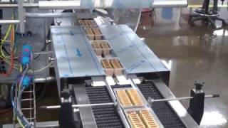 Hayssen Rose Forgrove Minerva Flow Wrapper Bagging Fig Bar Trays | ProPac.com