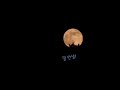 또 찍고 또 보는 2배속 달 멍 | a.k.a. 달걀 노른자