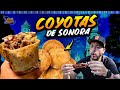 Las MARAVILLOSAS COYOTAS y BURROS PERCHERONES | Hermosillo Día 15 #DondeiniciaMexicoLRG