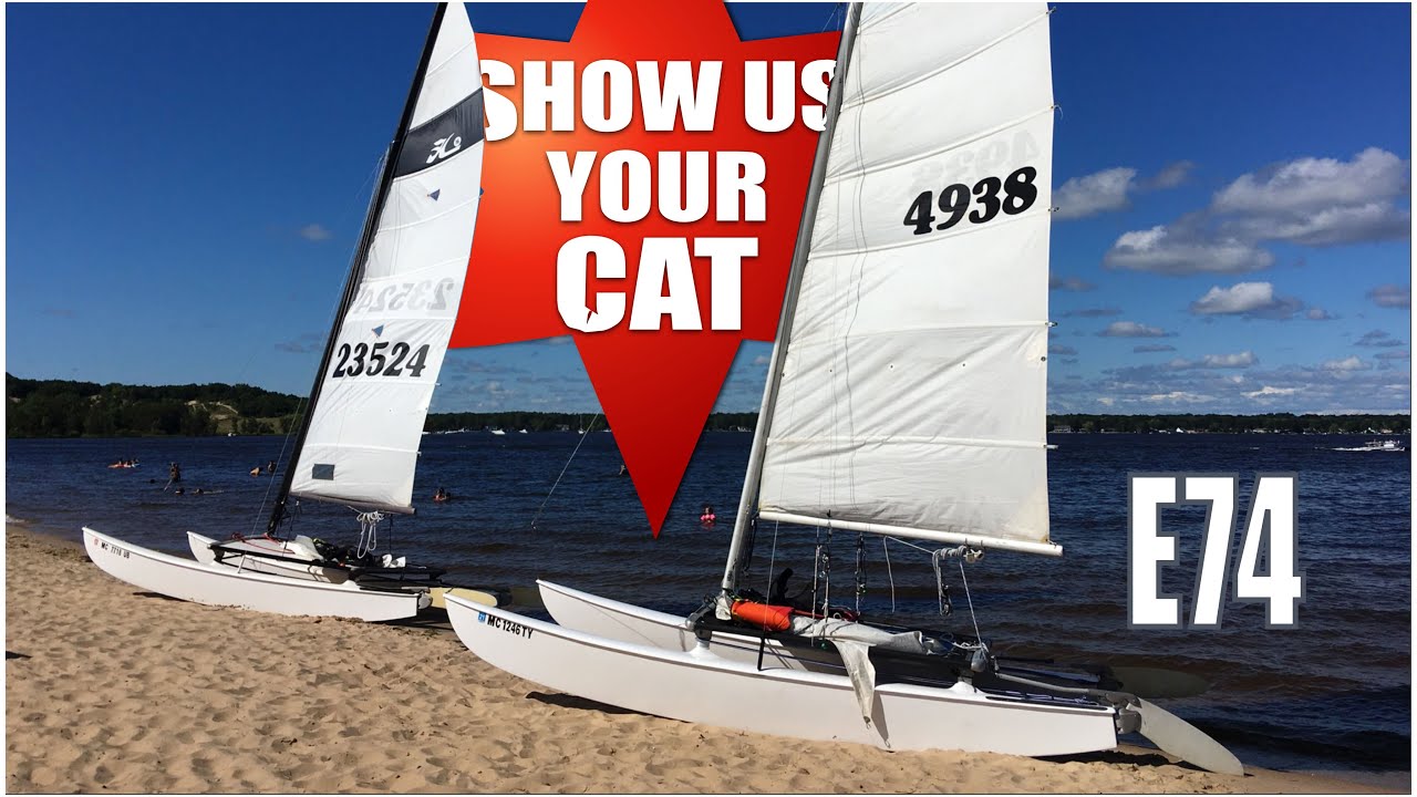 Show us your cat! Episode 74 USA and Germany