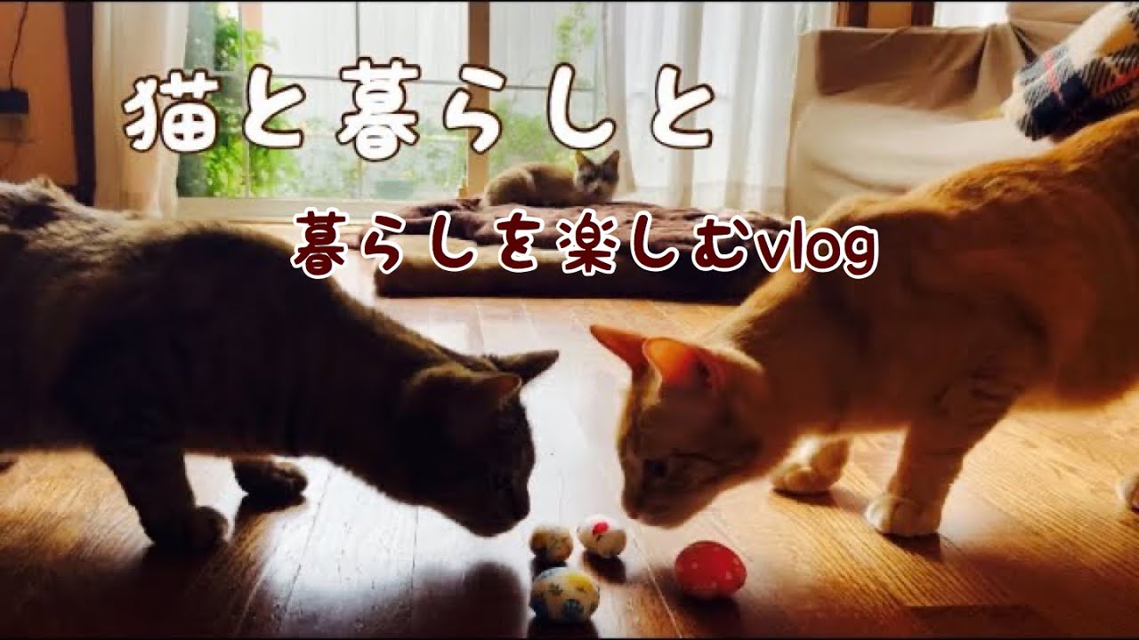 簡単自作で猫も大喜び 猫用手作りおもちゃの作り方講座 ハマる遊び道具はコレ 暮らし の