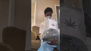 THCA Pounds Are Moving Fast Again – Here’s Why (Nov 2025)