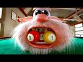 Booba 🔴 LIVE ⭐ Meilleurs épisodes ⭐ Super Toons TV - Dessins Animés en Français