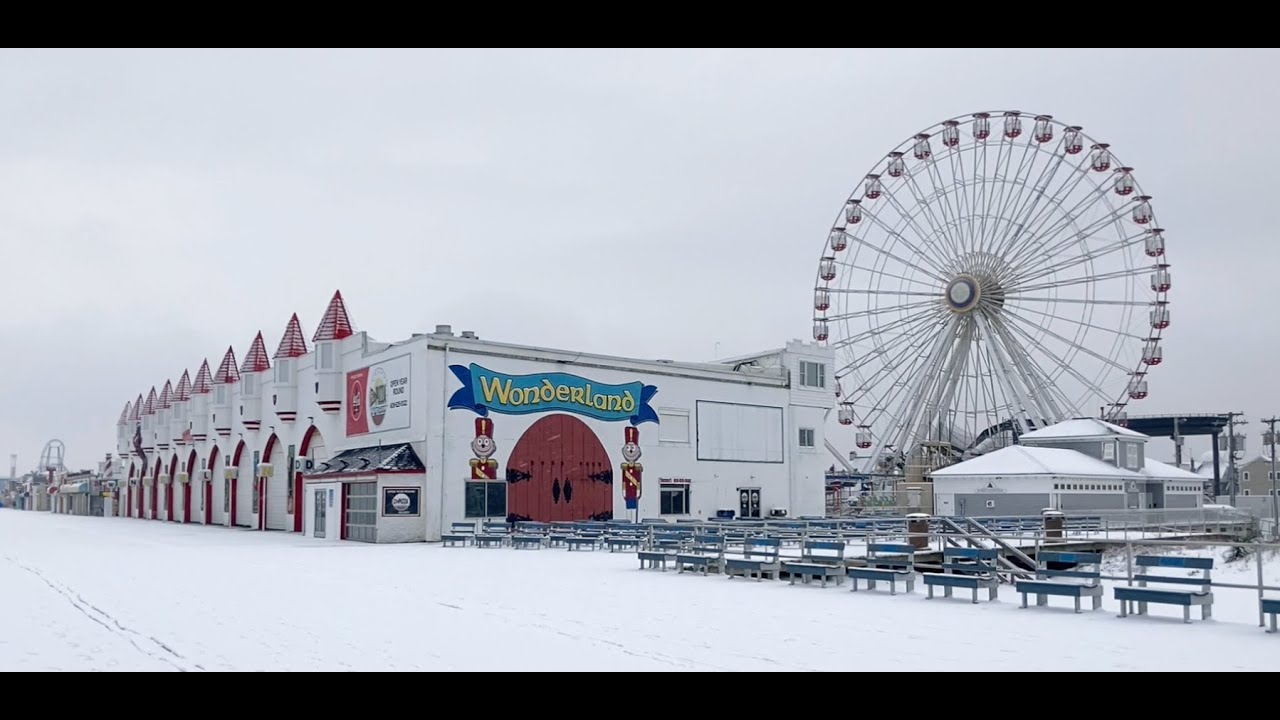 The Man & Dog: Miracle On 6th Street