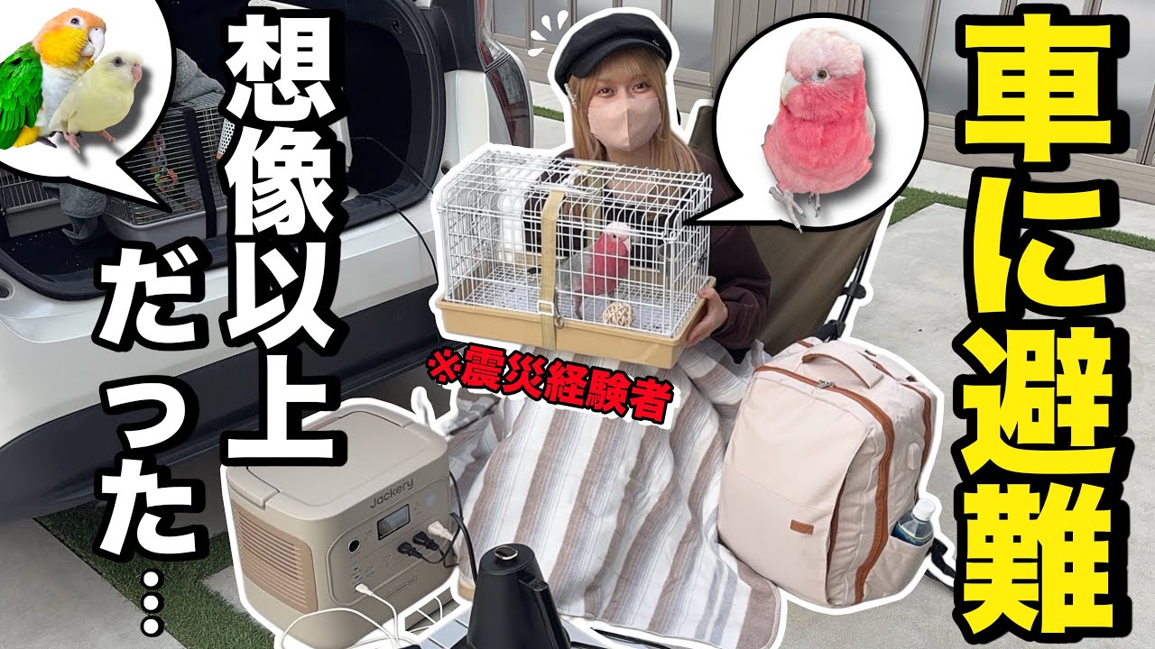 まさか車に避難する日が来るとは…インコ３羽と避難訓練してみた結果がこちらww【Jackery 2000 New】
