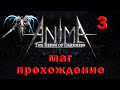 Anima arpg маг сборка стрим 3