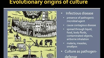 Where Does Human Diversity Come From?