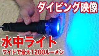 【水深100mまで可】41,800円の水中ライトを買ったので紹介【DiveExtreme】DL2002 マルチダイブライト