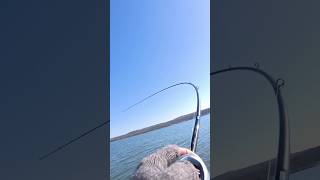 First Fish of the year! Boat issues and new gear.