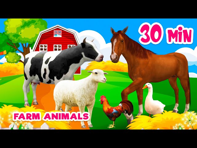 30 min Farm animal sounds Farm animals for kids Learn Farm animals Cow Horse class=